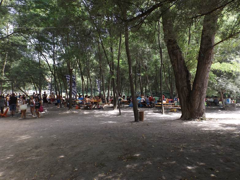  Image name: Image48.jpg 
 width: 783 pixel 
 height: 587 pixel 
 Size: 129883 bytes 
 Click to enlarge 